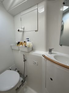 bath, Lagoon 380, catamaran for sale