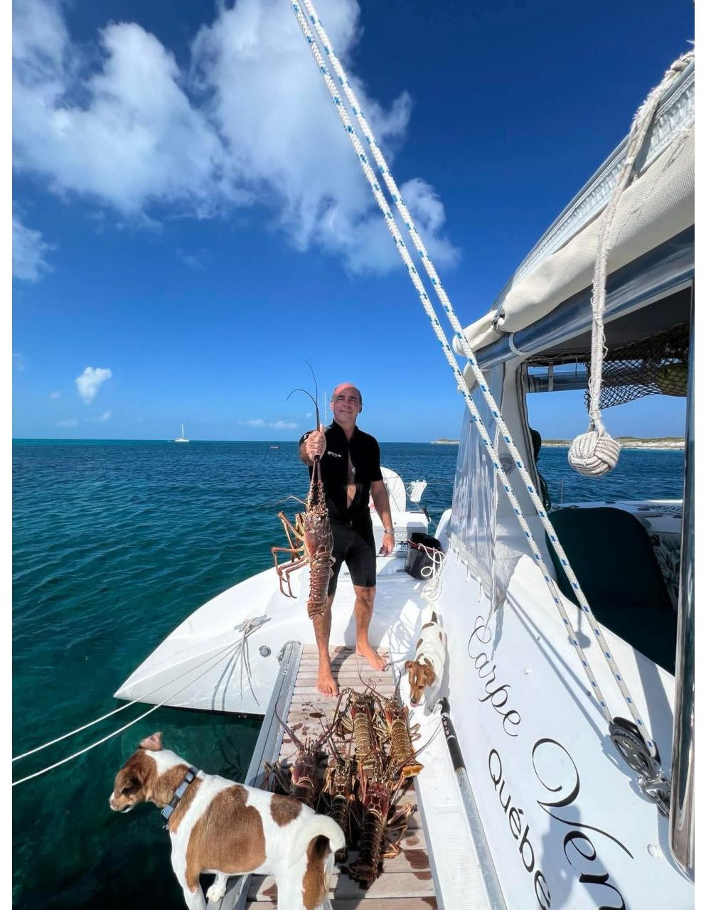 deck, Voyage 440, catamaran for sale