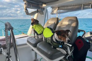 cockpit, Voyage 440, catamaran for sale