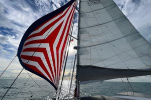 deck, Voyage 440, catamaran for sale