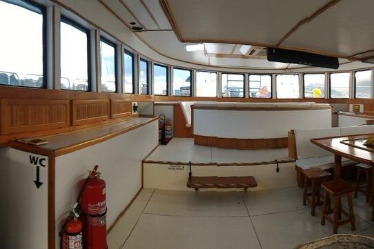 salon, Custom, power catamaran for sale