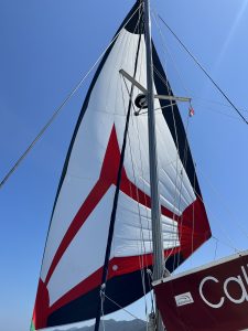 deck, Lagoon 380, catamaran for sale