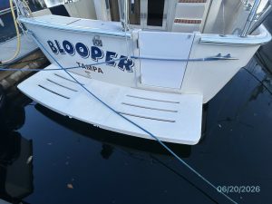 exterior, Mainship 400, trawler for sale