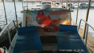 cockpit, Great Harbour TT35, trawler for sale