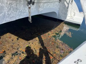 exterior, FP 48 Salina, catamaran for sale