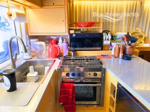interior, Lagoon 450, catamaran for sale