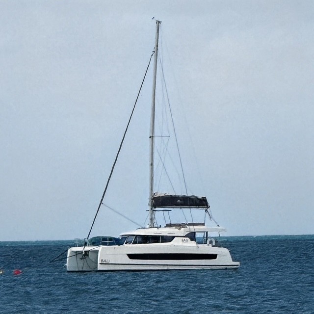 exterior, Bali 40 Catspace, catamaran for sale