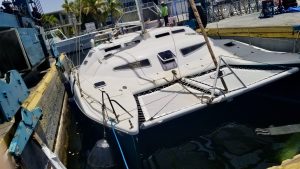 deck, Woods, catamaran for sale
