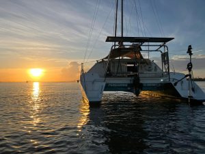 underway, Woods, catamaran for sale