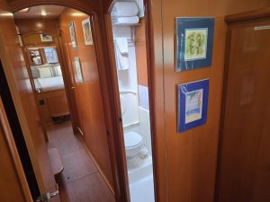 interior, Lagoon 440, catamaran for sale