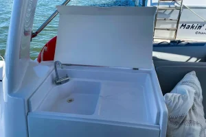 deck, Seawind 1260, catamaran for sale