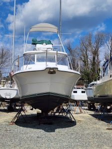 Pursuit, trawler for sale