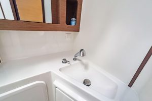 bath, Lagoon 42, catamaran for sale