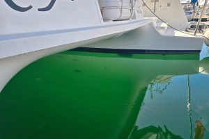 deck, Lagoon 42, catamaran for sale