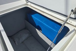deck, Lagoon 42, catamaran for sale