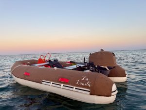 underway, Peterson 46, sailboat for sale