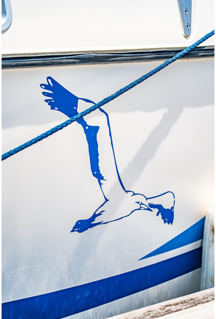 exterior, St Francis 50, catamaran for sale