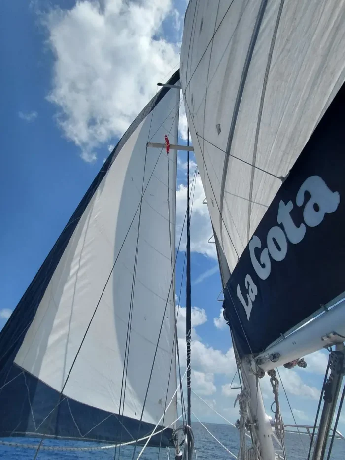underway, Morgan 43, sailboat for sale