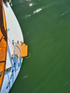deck, Morgan 43, sailboat for sale