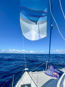 deck, Leopard 48, catamaran for sale