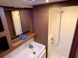 bath, Lagoon 42, catamaran for sale