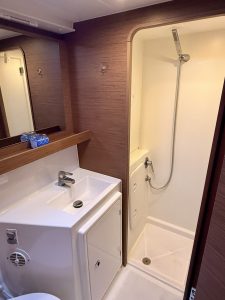 bath, Lagoon 42, catamaran for sale