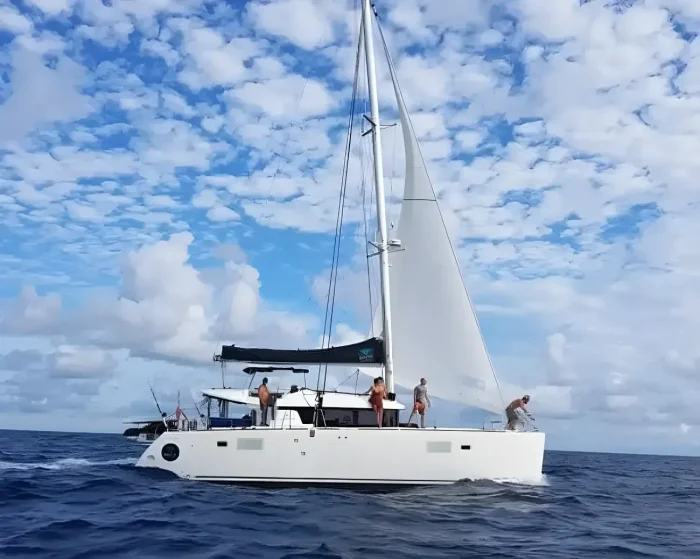 Lagoon 450, catamaran for sale