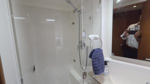 bath, Leopard 48, catamaran for sale