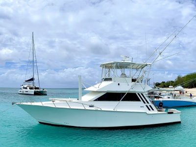 Southern Cross 44 Fish