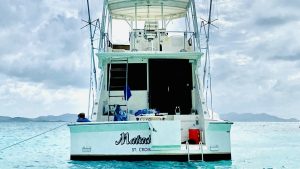 cockpit, Southern Cross, trawler for sale