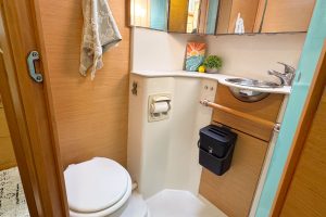 bath, Lagoon 500, catamaran for sale