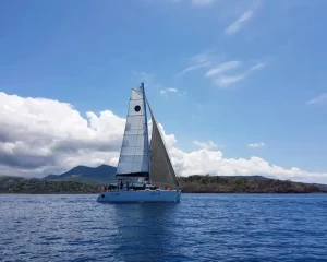 underway, Lagoon 450, catamaran for sale
