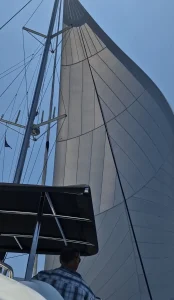 deck, Lagoon 450, catamaran for sale