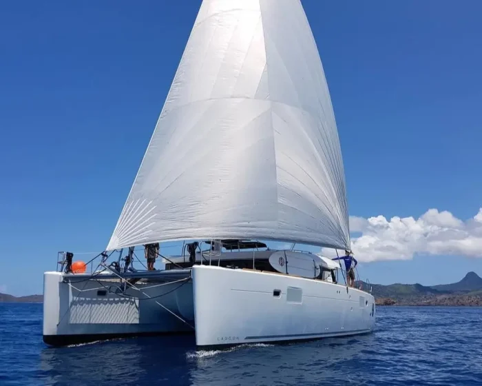 underway, Lagoon 450, catamaran for sale