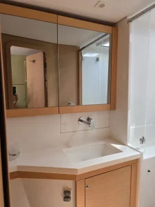 bath, Lagoon 450, catamaran for sale