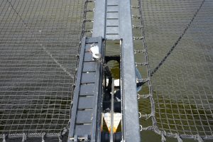 deck, Balance 482, catamaran for sale