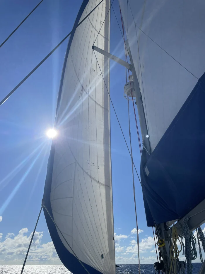 deck, St Francis 50, catamaran for sale
