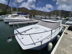 deck, Custom, power catamaran for sale