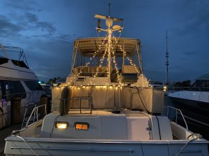 exterior, Mainship 430 Trawler, trawler for sale