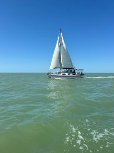 exterior, Summer Twins 28, catamaran for sale