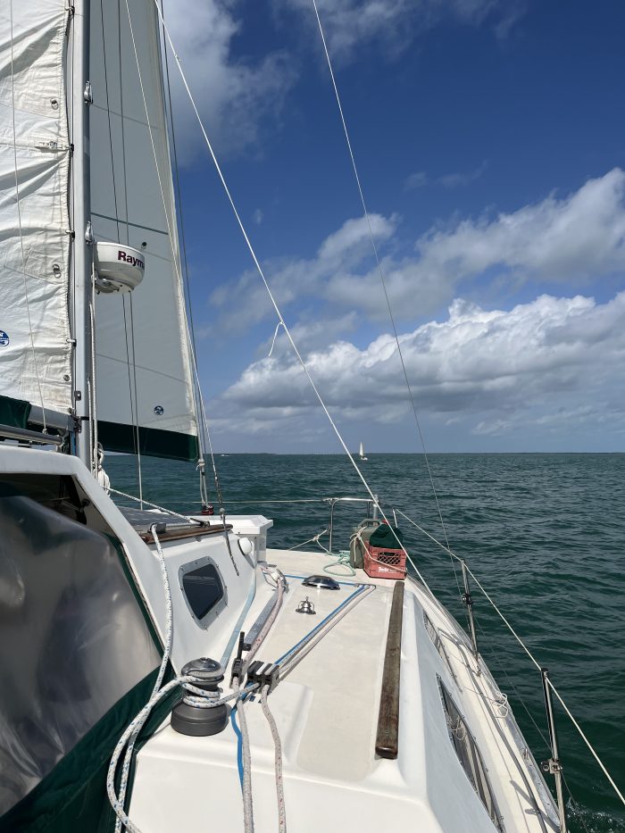 deck, Summer Twins 28, catamaran for sale