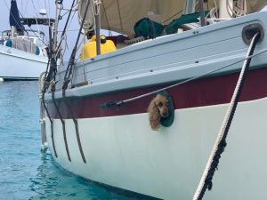 exterior, Bristol 28 Channel Cutter, sailboat for sale
