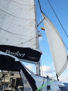 deck, Maverick 420, catamaran for sale