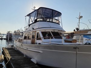 exterior, Albin 43, trawler for sale