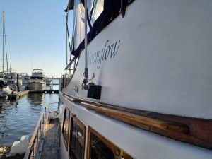 deck, Albin 43, trawler for sale