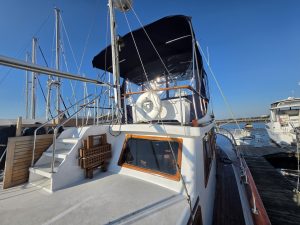deck, Albin 43, trawler for sale